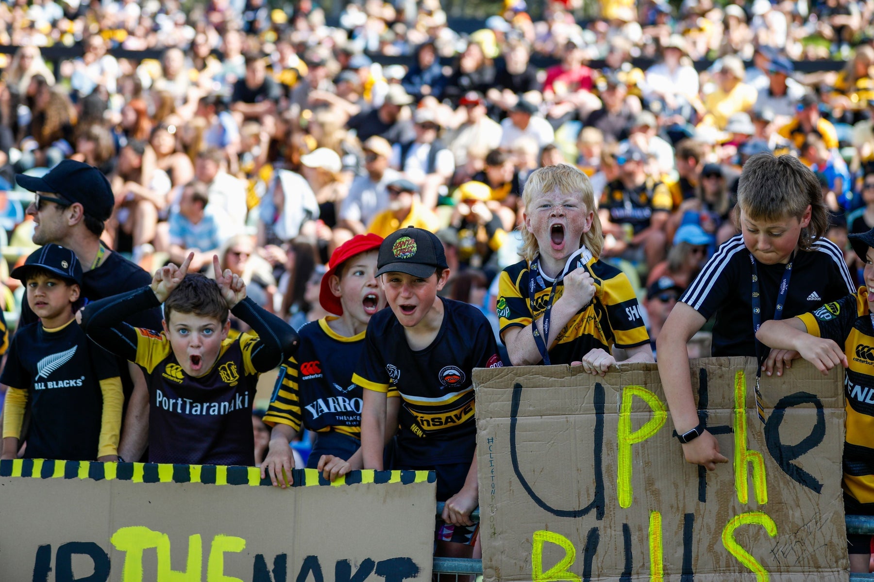 Yarrows Taranaki Bulls Memberships On-Sale