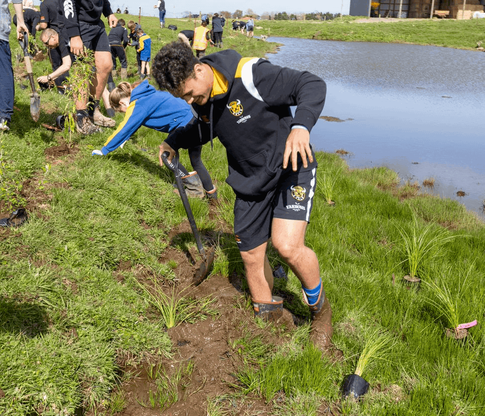 Manukorihi and Matapu students and Yarrows Taranaki Bulls players muck in planting native plants