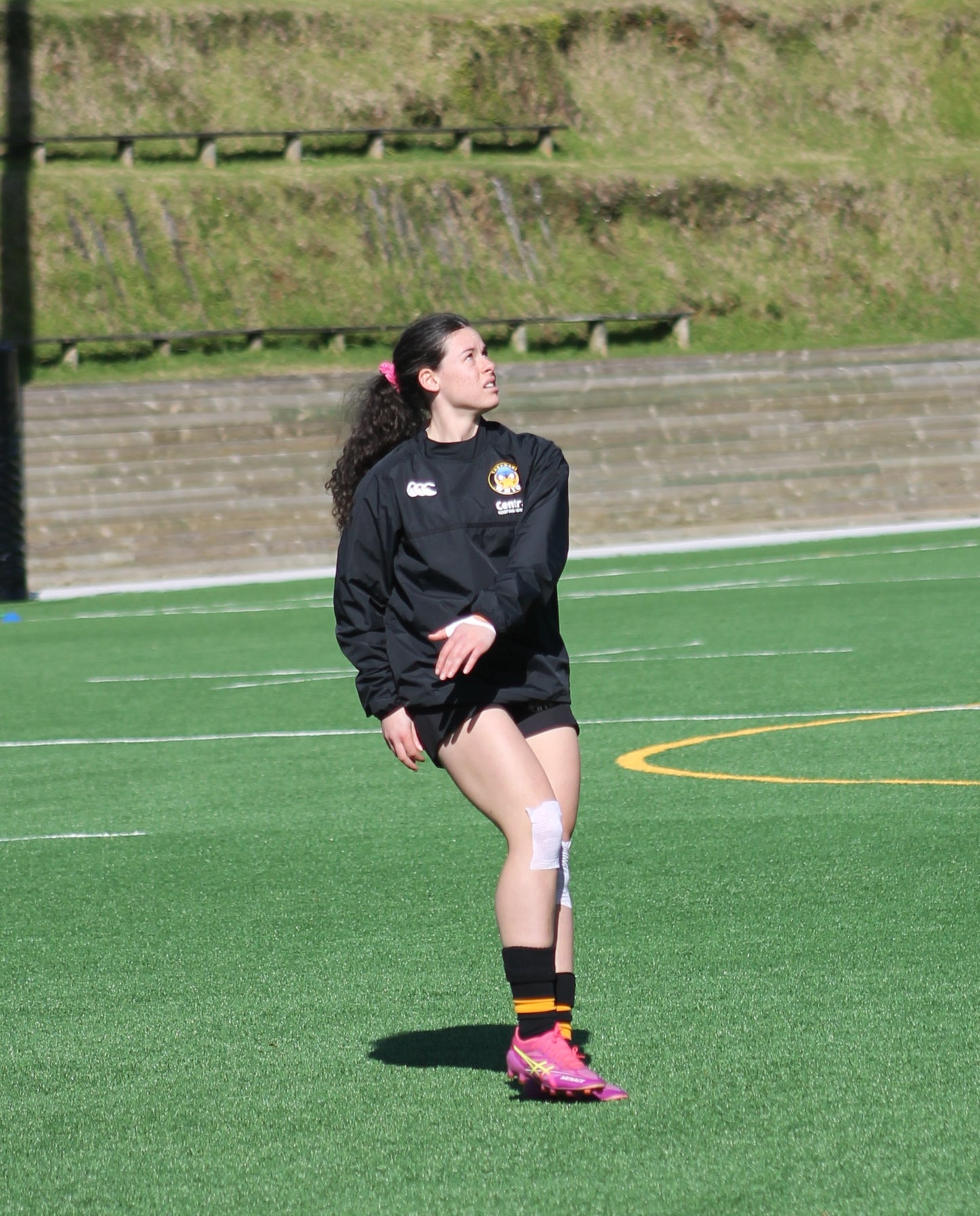 Central Roofing Taranaki Whio Contact Top