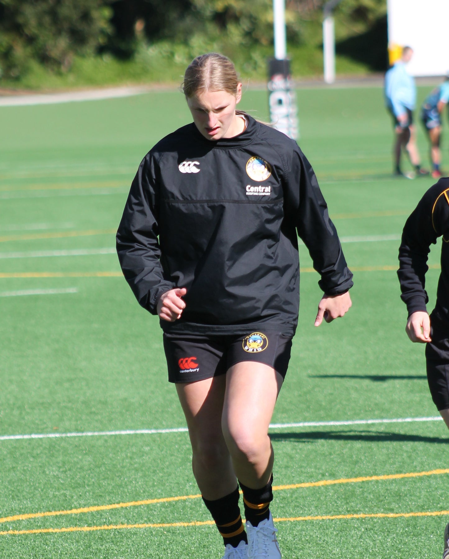 Central Roofing Taranaki Whio Contact Top